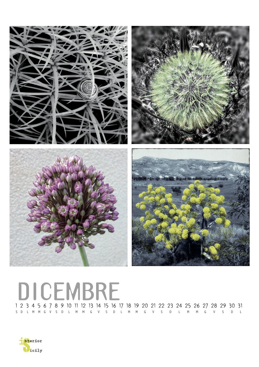 dicembre