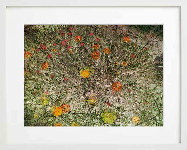 campo-fiorito
