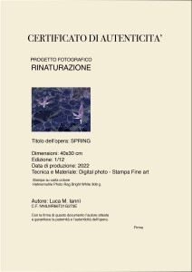 certificato-di-autenticita