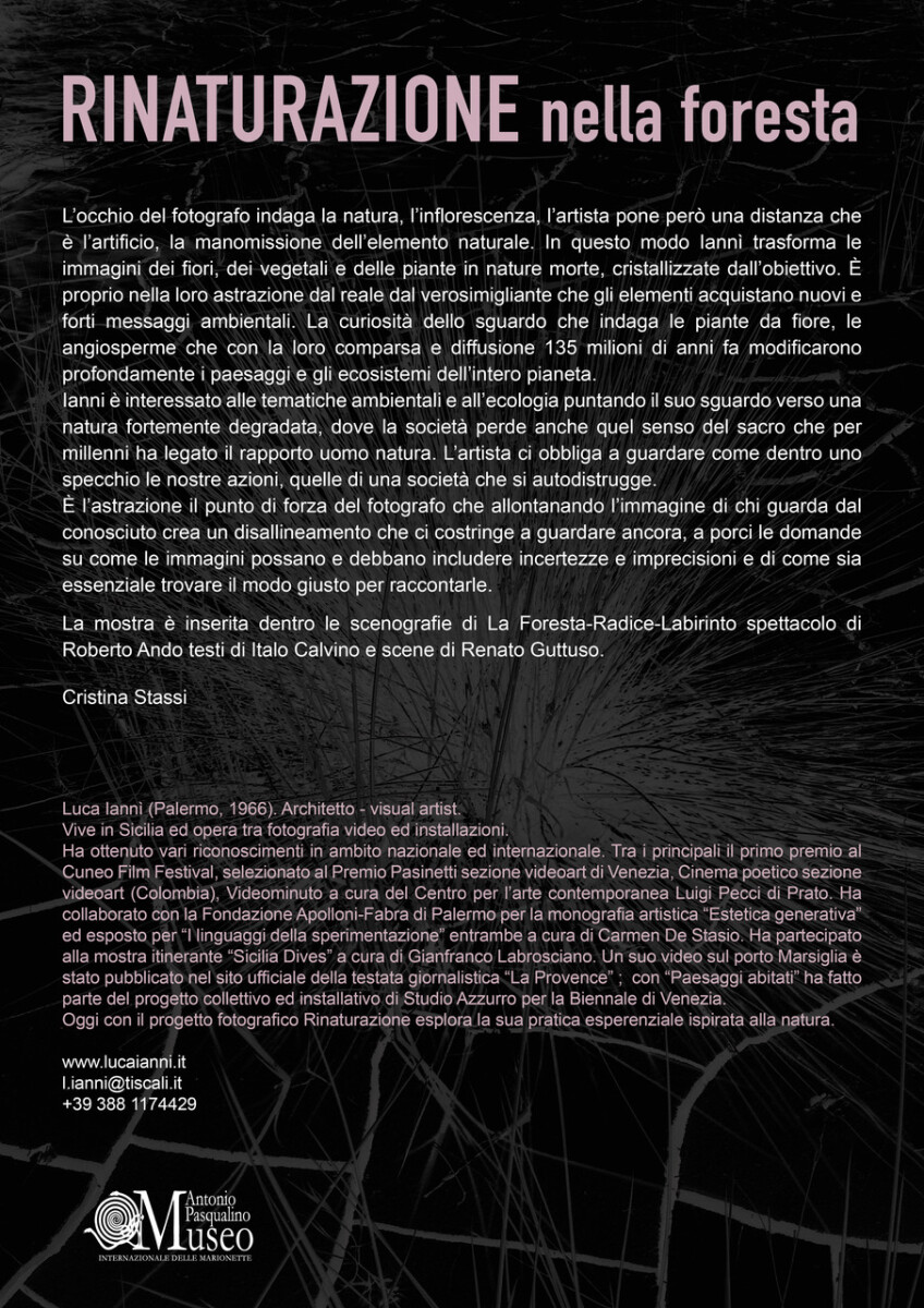 Testo Rinaturazione